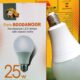 لامپ LED حبابی 25 وات پارس رودانور